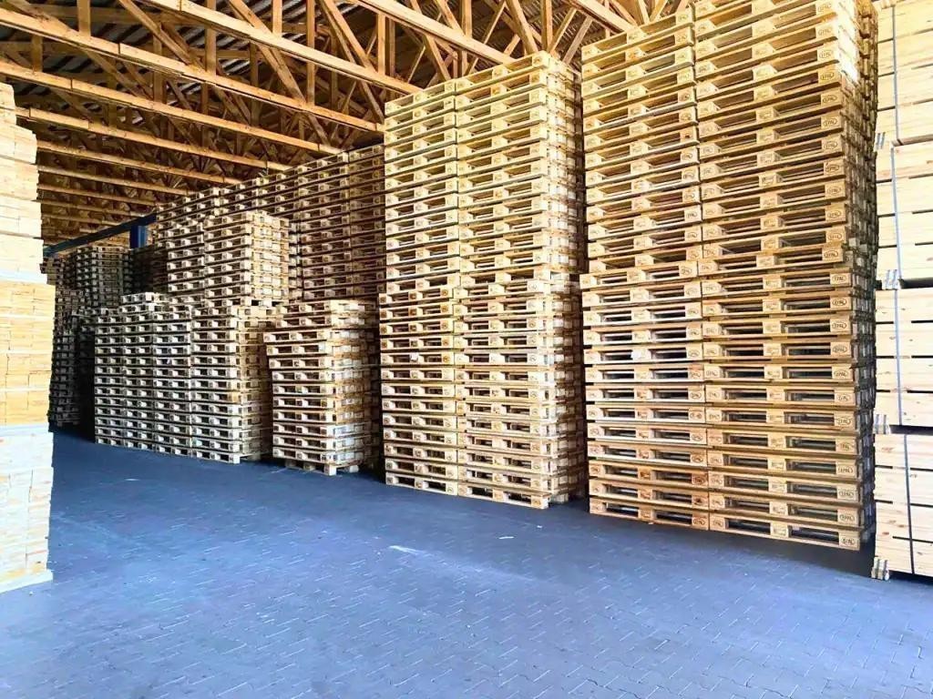 488-dong-quan--pallet-go--giai-phap-van-chuyen-va-luu-tru-hang-hoa-hieu-qua-5.jpg
